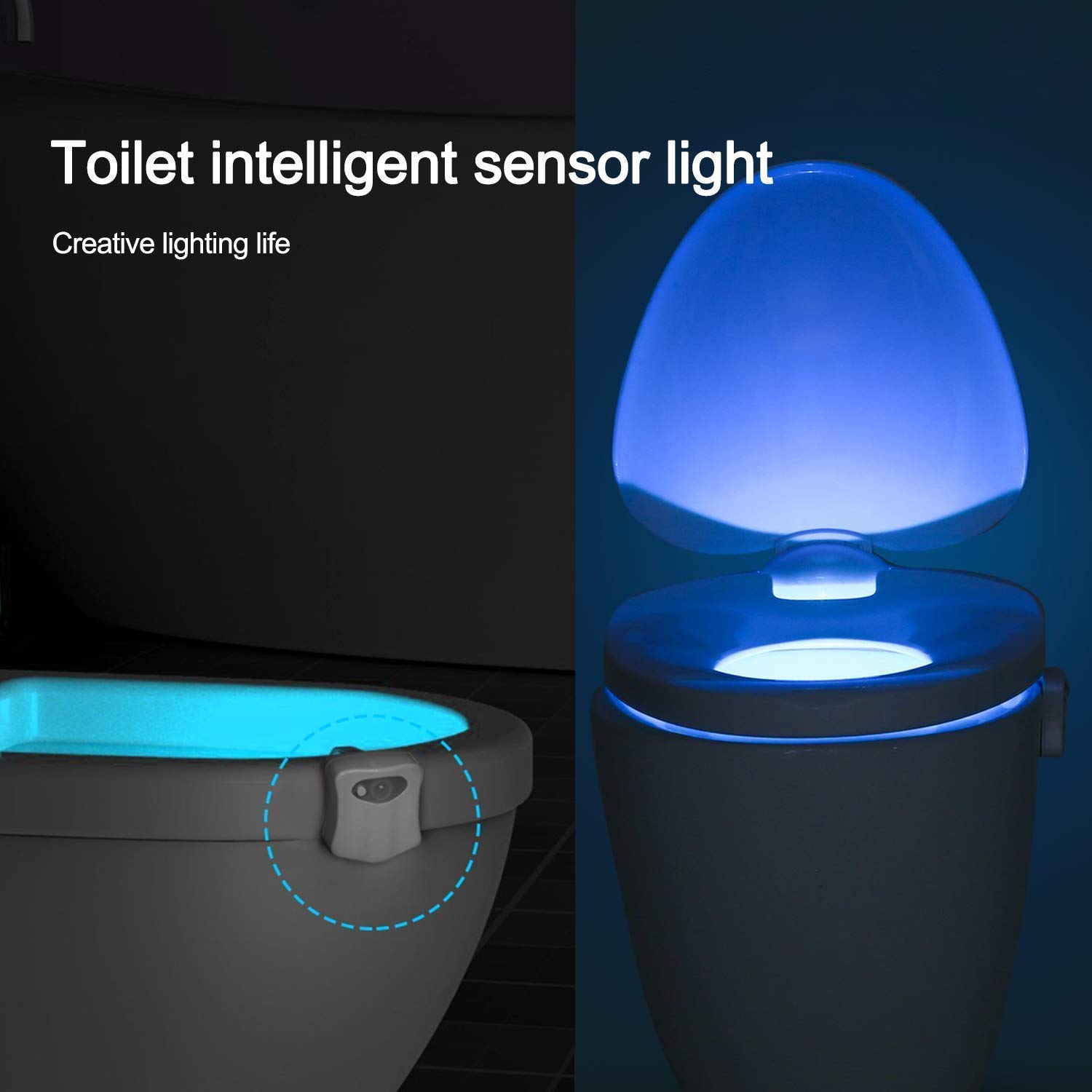 Bathroom LED Sensor Toilet Sign Lavatory Toilet Bowl Lid Light - China Toilet  Bowl Lid Light, Bathroom Sensor Light
